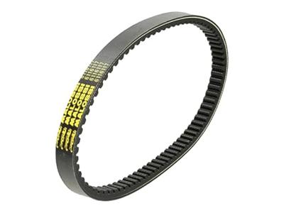 MALOSSI v-snaar versterkt "verstärkt" v-belts verst 22.5x814mm