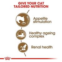 Royal Canin C-584987 AGE +12-2 kg - thumbnail