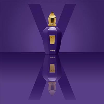 Uniseks Parfum Xerjoff Accento EDP 100 ml - thumbnail