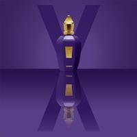 Xerjoff Accento Eau de Parfum Spray 50 ml - thumbnail