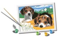 Ravensburger CreArt Schilderen op Nummer Beagle Puppies - thumbnail