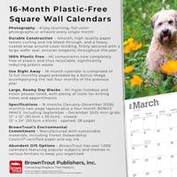 Softcoated Wheaten Terrier Kalender 2026 - thumbnail