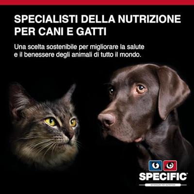 Specific Cdd-hy Food Allergy Management 12kg - thumbnail