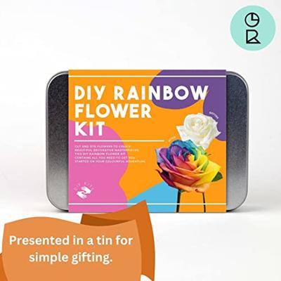 Gift Republic DIY Regenboog Bloemen Kit