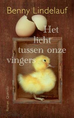 Het licht tussen onze vingers - Benny Lindelauf - ebook