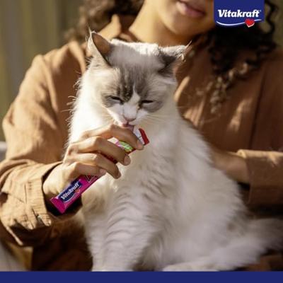 Liquid Snack Mega Pack 48st MSC