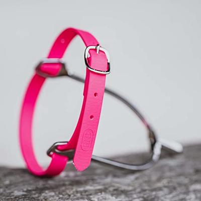 HS Sprenger Biothane sporenriemen roze