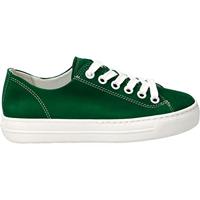 Paul Green 4704 - alle - thumbnail