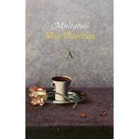 Max Havelaar (Paperback) - thumbnail