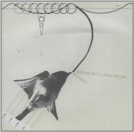 Adventure, Bless, And Don't Be Sorry - CD (0802685853526)