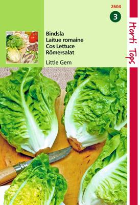 Zaden Romeinse mini sla Little Gem (bindsla) Hortitops - Hortitops
