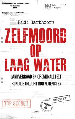 Zelfmoord op laagwater - Rudi Harthoorn - ebook