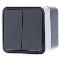 Berker 50753515 W.1 (opbouw) Serietoets spatwaterdicht Grijs, Lichtgrijs 1 stuk(s)