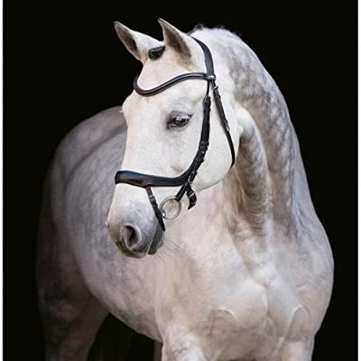 Schockemohle Sports Equitus Alpha hoofdstel zwart maat:full Schockemohle Sports Equitus Alpha hoofdstel zwart maat:full