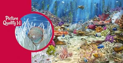 Coral Reef Paradise Puzzel 2000 Stukjes