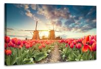 Schilderij - Tulpen en molens, 2 maten, Premium print, Hollands landschap - thumbnail