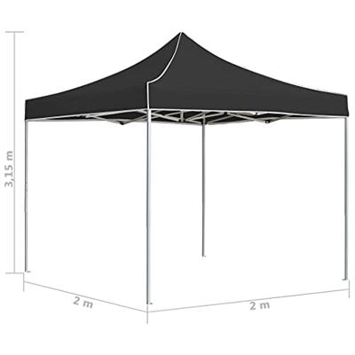 VidaXL Partytent professioneel inklapbaar 2x2 m aluminium antraciet