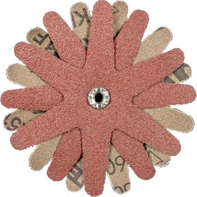 PFERD TOOLS 42732163 Schuursterren Diameter 100 mm 10 stuk(s)