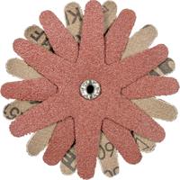 PFERD TOOLS 42732163 Schuursterren Diameter 100 mm 10 stuk(s) - thumbnail