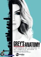 Grey's Anatomy - Seizoen 13 (DVD) - thumbnail