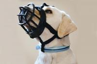 BZ TPR MUILKORF ZWT MT 5 - thumbnail