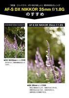 Nikon AF-S 35mm F/1.8G DX - thumbnail