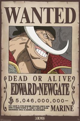 Poster One Piece - Wanted Whitebeard 61x91,5cm Poster One Piece - Wanted Whitebeard 61x91,5cm