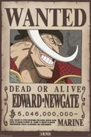 Poster One Piece - Wanted Whitebeard 61x91,5cm - thumbnail