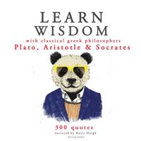 Learn Wisdom with Classical Greek Philosophers: Plato, Socrates, Aristotle - thumbnail