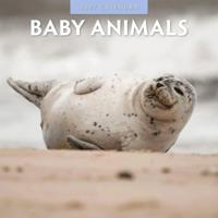 Baby Animals Kalender 2027 - thumbnail