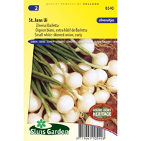 Uienzaden Barletta (St. Jans) - thumbnail