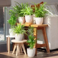 Luchtzuiverende Plantenbox incl. pot (6 stuks) - thumbnail