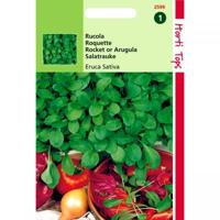 Zaden Rucola (Eruca sativa) Hortitops - Hortitops - thumbnail