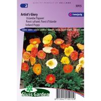 Papaver Nudicaule zaden Artist's Glory IJslandse - thumbnail