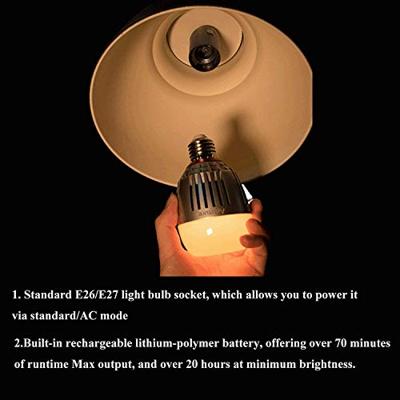 Aputure Accent B7c LED light bulb