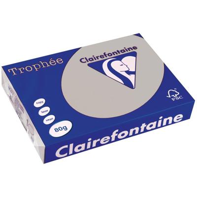 Clairefontaine Trophée gekleurd papier, A4, 80 g, 500 vel, lichtgrijs