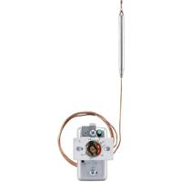 Jumo 60000211 Tweestandenregelaar Temperatuurbegrenzer 50 tot 300 °C Relais 16 A - thumbnail