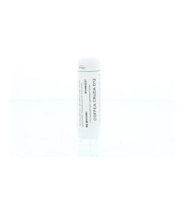 Coffea cruda D12