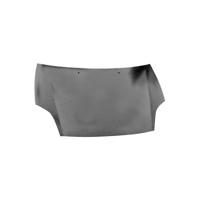 Motorkap 1629660 - thumbnail