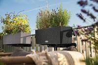 Bloempot Lechuza Zwart Grijs Polypropyleen - thumbnail