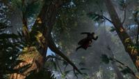 Assassin's Creed Rogue - thumbnail