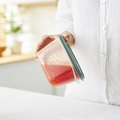 Rotho ELEMENTS Koelkast Bewaardoos Set 6-delig Mistletoe Groen/Transparant Rotho ELEMENTS Koelkast Bewaardoos Set 6-delig Mistletoe Groen/Transparant