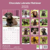 Labrador Retriever Bruin Kalender 2026 - thumbnail