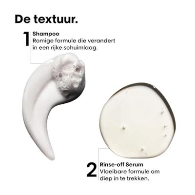 L'Oréal Série Expert Absolut Repair Molecular Mini Duo Kit