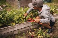 Fiskars MyFirst Fiskars Set van Bloemenschepje en Woeler - 1062471 - thumbnail