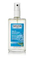 Weleda 4001638099271 deodorant Spuitbus deodorant 100 ml 1 stuk(s) - thumbnail