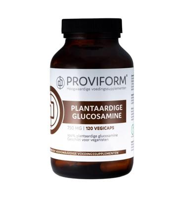 Proviform Plantaardige Glucosamine 750mg Vegicaps 120st Proviform Plantaardige Glucosamine 750mg Vegicaps 120st