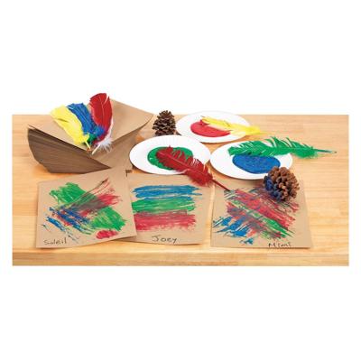 Colorations - veren 30cm, set van 24