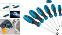 HAZET schroevendraaier set "810t/6" screwdriver set torx - thumbnail