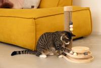 Designed By Lotte krabpaal Inez 38x24,5x47,5 - thumbnail